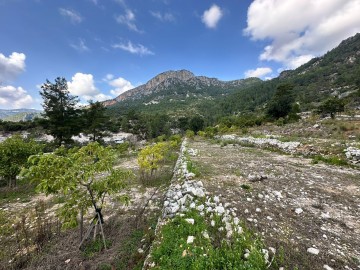 Alanya Oba Alacami Mah Satılık Tarla